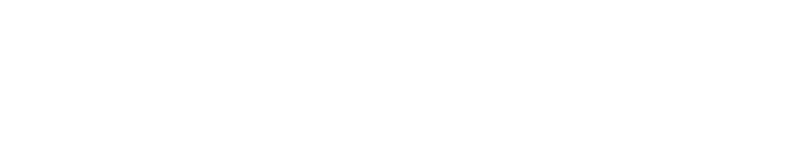 white_logo_transparent@2x